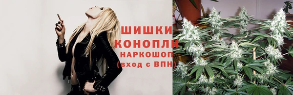 молекула духа Лагань