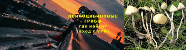 СК Лиски
