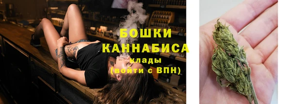 MESCALINE Лабытнанги