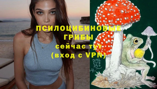 СК Лиски
