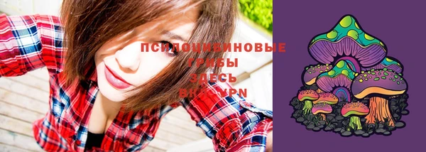 MESCALINE Лабытнанги