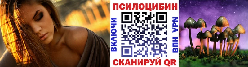 Псилоцибиновые грибы Psilocybine cubensis  купить наркоту  Новая Усмань 