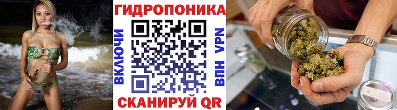 Каннабис Amnesia  OMG ссылка  Новая Усмань  где купить наркотик 